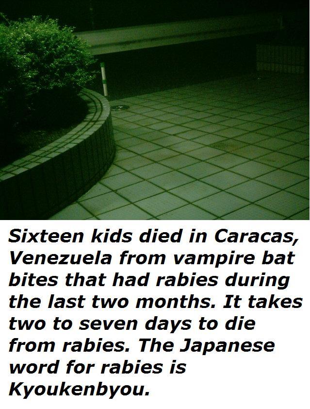 rabies-from-vampire-bats-kill-16-children-venezuela.jpg