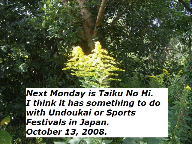 taiku-no-hi-october-13-2008.jpg