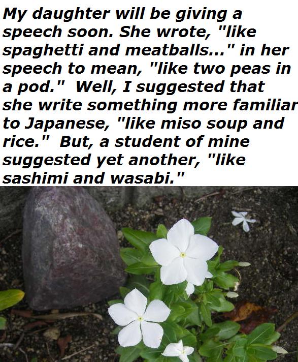 like-sashimi-and-wasabi.jpg